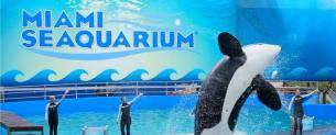 Miami Aquarium (Miami, SAD) Miami Aquarium